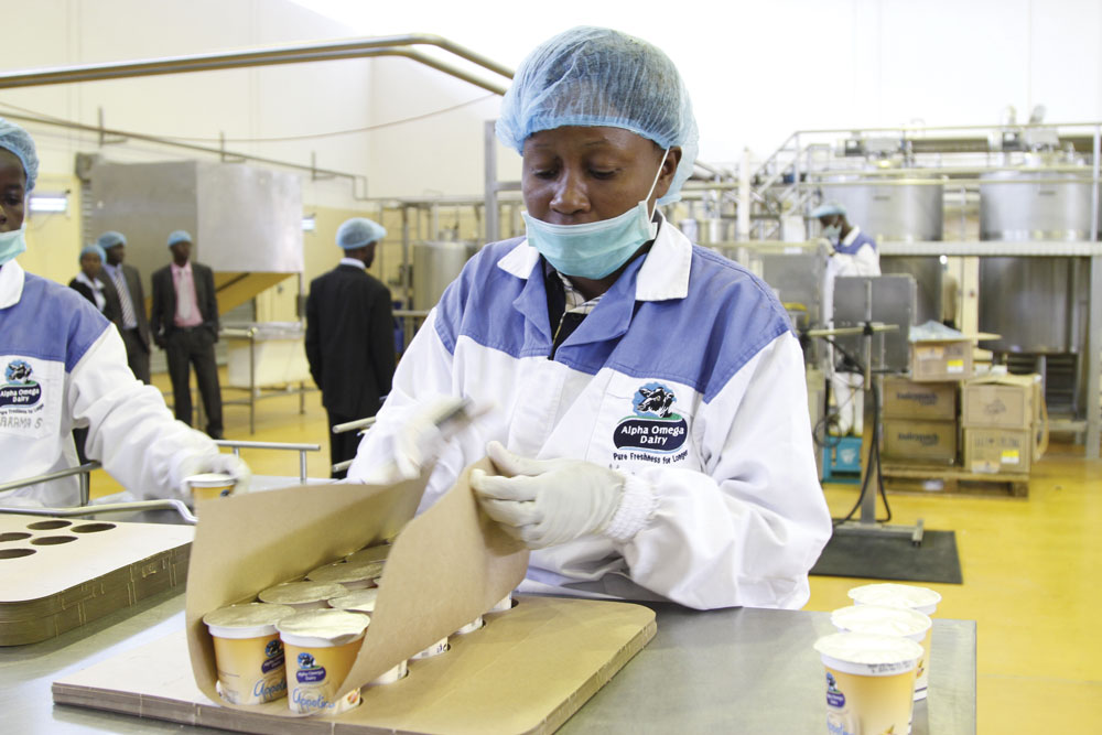 Gushungo Dairy ramps up production
